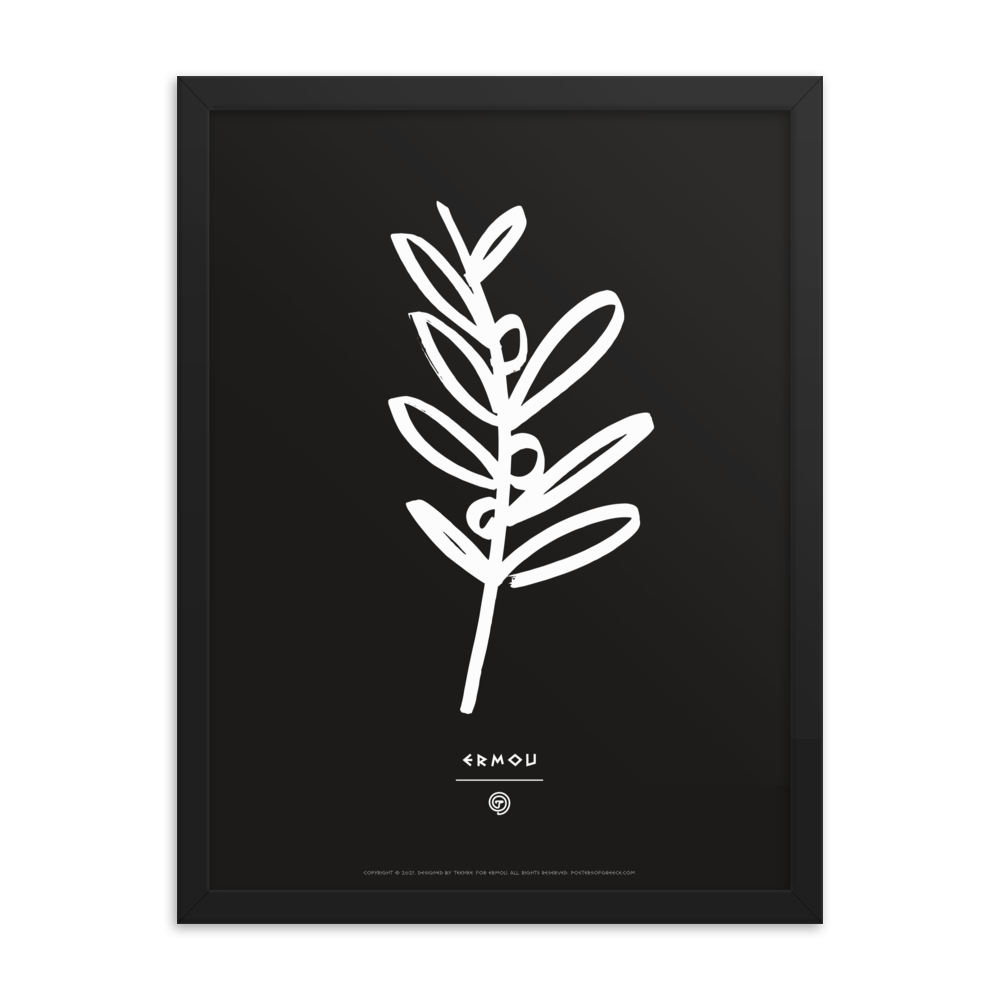 OLIVE BRANCH Framed Poster (White/Black)