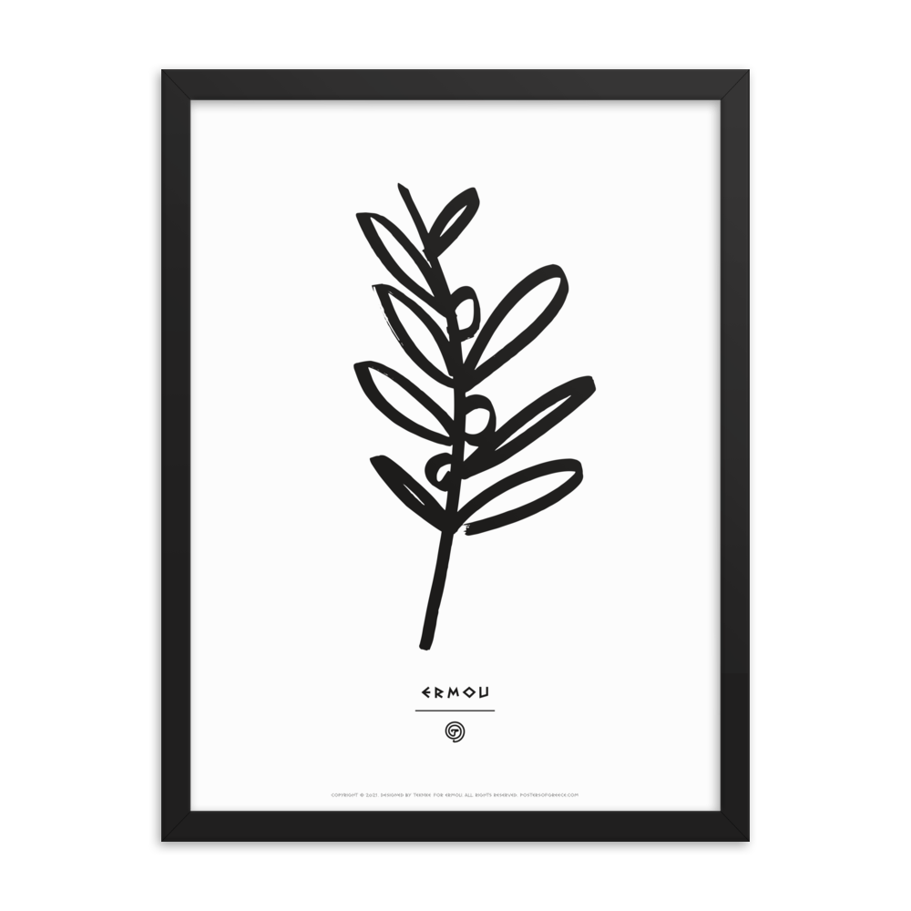 OLIVE BRANCH Framed Poster (Black/White)