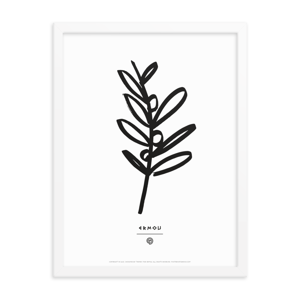 OLIVE BRANCH Framed Poster (Black/White)