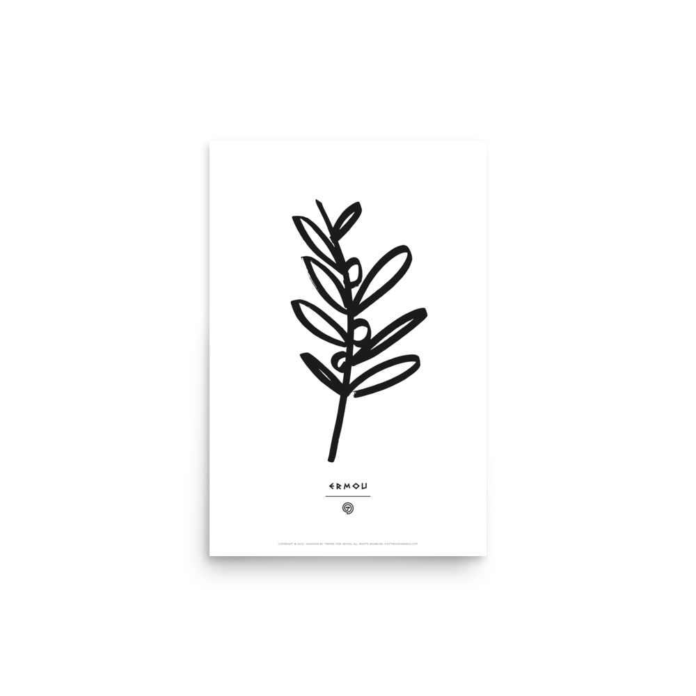 OLIVE BRANCH Poster (Black/White)
