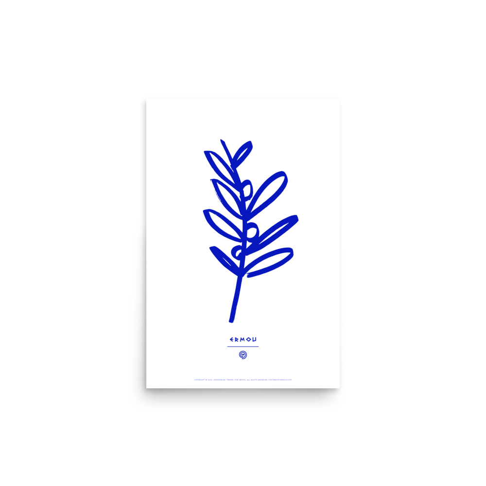 OLIVE BRANCH Poster (Blue/White)