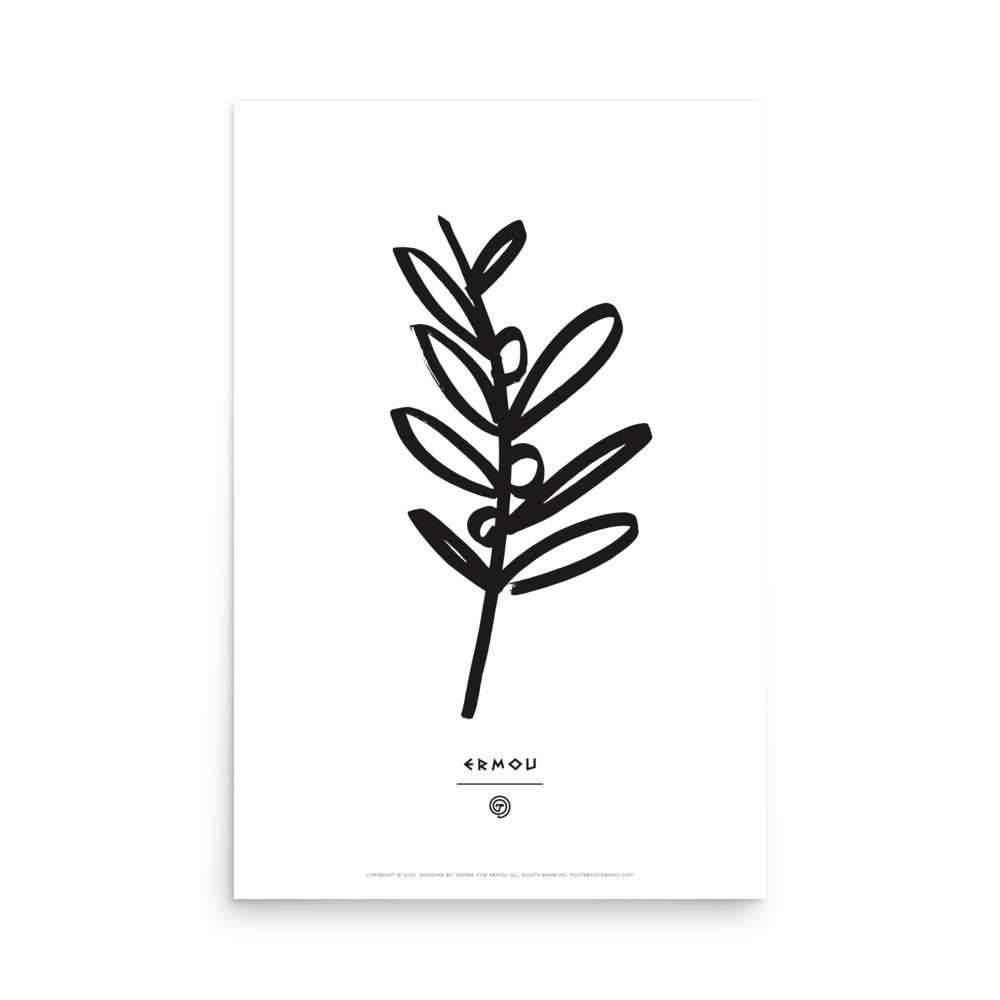 OLIVE BRANCH Poster (Black/White)