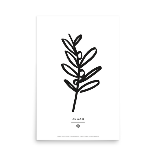 OLIVE BRANCH Poster (Black/White)