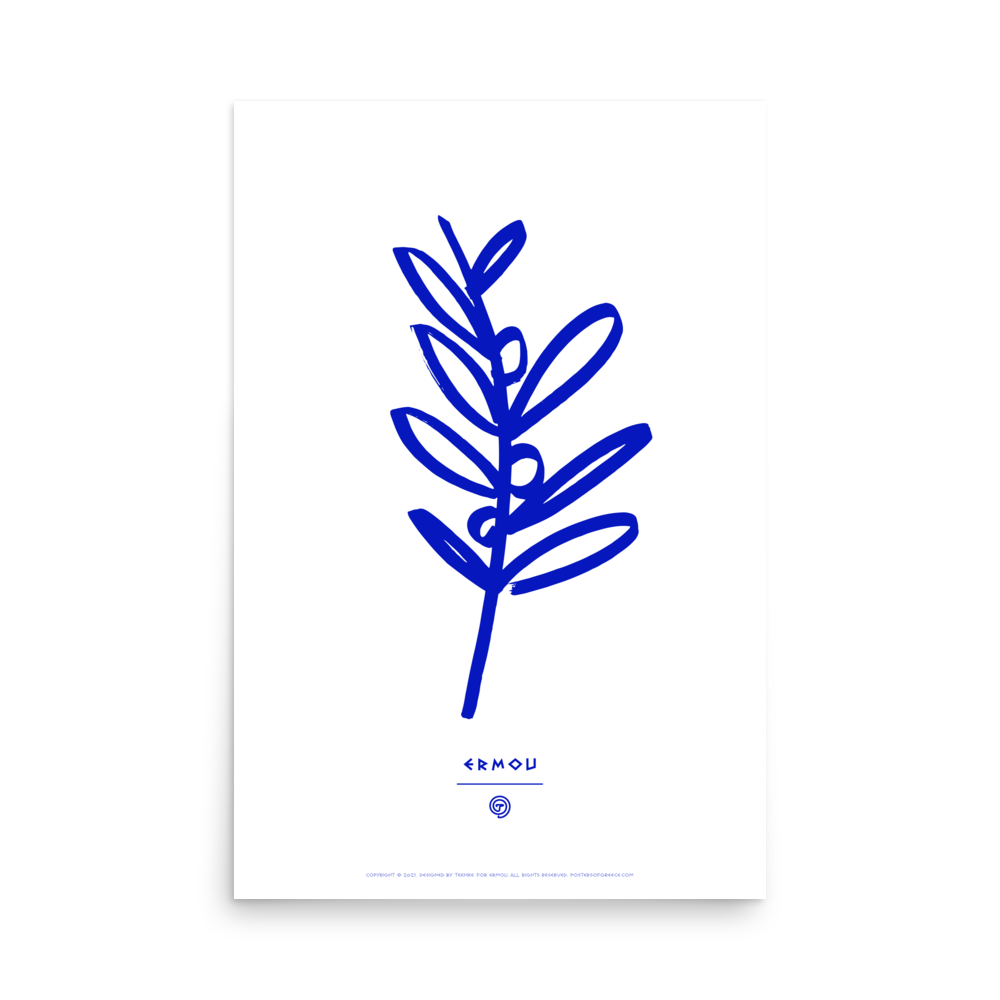 OLIVE BRANCH Poster (Blue/White)