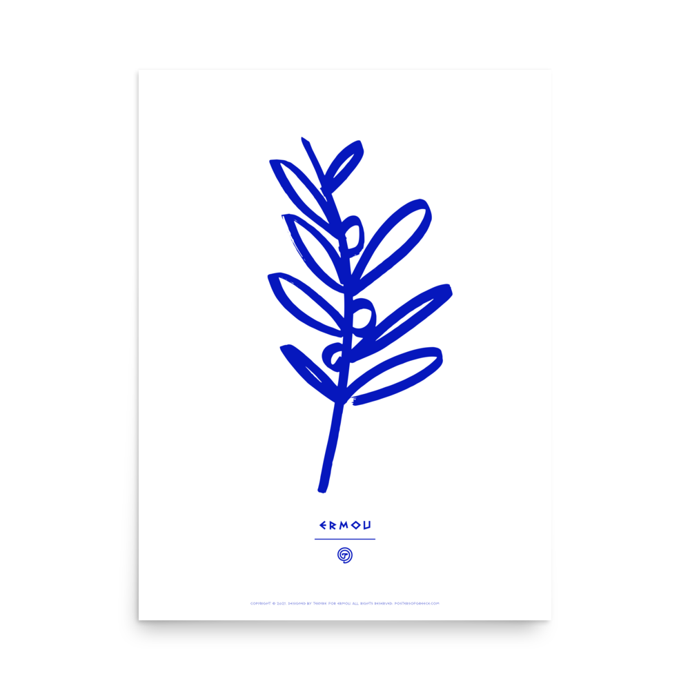 OLIVE BRANCH Poster (Blue/White)